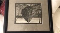 Picture of Wasps Nest, matted and framed