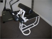 Pace bicep/tricep curl machine