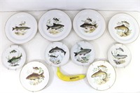 10 Thomas, Colditz, Royal Falconware Fish Plates