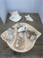Sea shells and sea shell tray