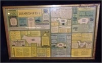 The spices of life framed poster.