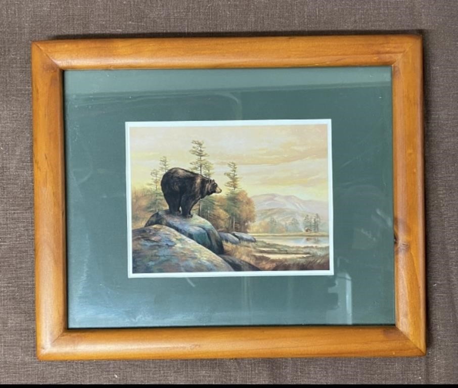 Framed Print of Bear on Rock