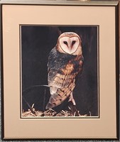 Framed Barn Owl Portrait