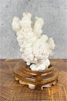 Chinese White Coral Aragonite Mineral Specimen