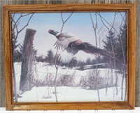Framed Pheasant Picture (12" x 14")