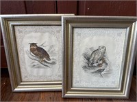 Pair of owl Prints