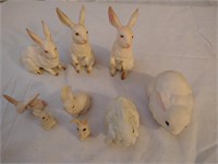 Bunny Collection