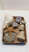 geode, assorted rock specimens