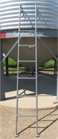 Access Ladder for Hopper Bottom Bin