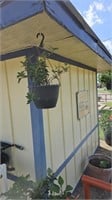 4 hanging planters and plants