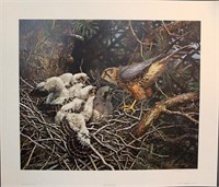 "Merlins at the Nest" falcons, wildlife print