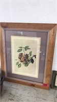 FRAMED FRUIT ART