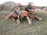 Pile of logs (located at Dunn Co. shop)