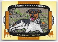 Canine Companions Patch Brazilian Terrier