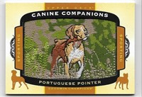 Canine Companions Patch Portuguese Pointer