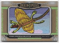 Origin of the Species Patch Coelurosauravus