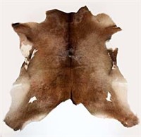 Authentic Deer  Hide