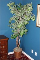 Artificial Ficus Tree