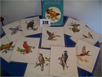 Clark Bronson - Bird Prints
