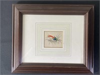 Parrot Watercolor Painting 19th Century