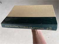 Vintage Amazing World of Animals Book