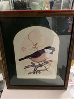 Vintage bird framed art