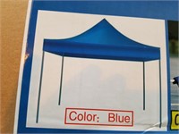 D8- 10 X 10 POP UP CANOPY