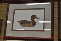 Duck Decoy Limited Edition Print: