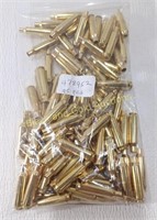 95 Dogtown 22 Nosler Brass Shells