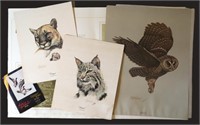 Guy Coheleach Signed Plate Prints