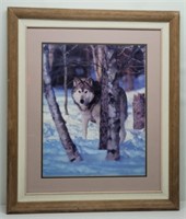 Framed Photo Print of Wolf Watching Through Trees