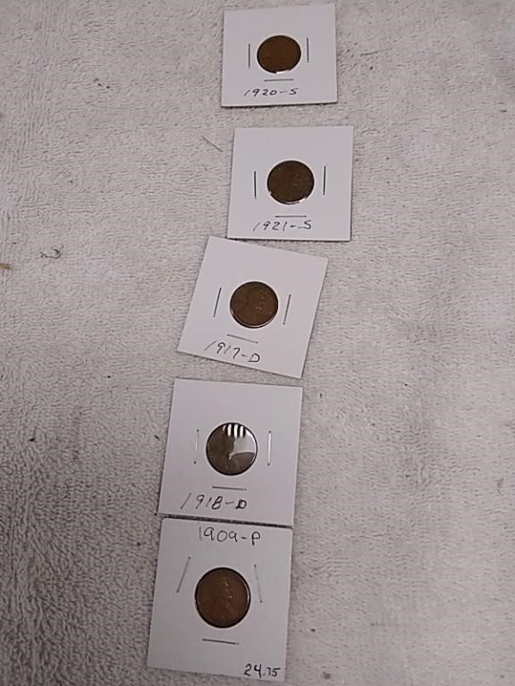 Group of 1900's Era pennies