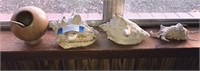 Decorative Conch Shells & Wooden Bowl