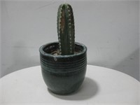 22" Cactus In Pot