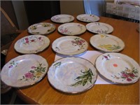 11 Vintage Flower of the Month Plates