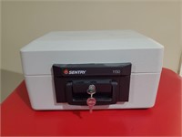 Sentry 1150 safewith key