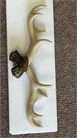 14" Antler Decoration For Wall