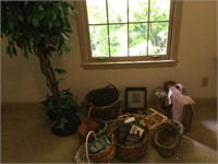Baskets and Fig Tree