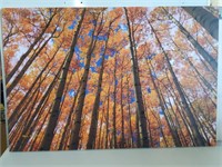 Autumn Forest Picture, Bill Sherrell 32in X 48in