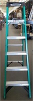 Werner 6' Fiberglass Ladder.