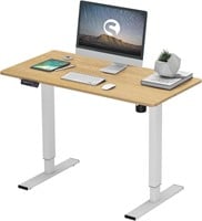47.2 Inch Electric Standing Desk