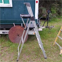 6' Metal Ladder with Tray