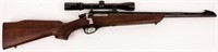 Gun Remington Model 600 Bolt Rifle in 6MM REM
