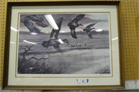 Framed & signed duck print