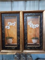 Pair of framed orchids