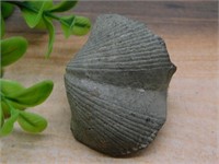 BRACHIOPOD ROCK STONE LAPIDARY SPECIMEN