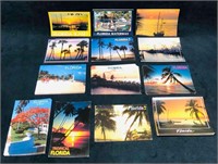 Over 100 Florida Postcards