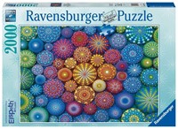Pieces Not Verified-Ravensburger Radiating