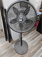 Large Fan (showroom)