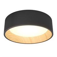 Alton 13 in. 1-Light Modern Black and Wood Integra